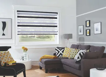 Vision Blinds