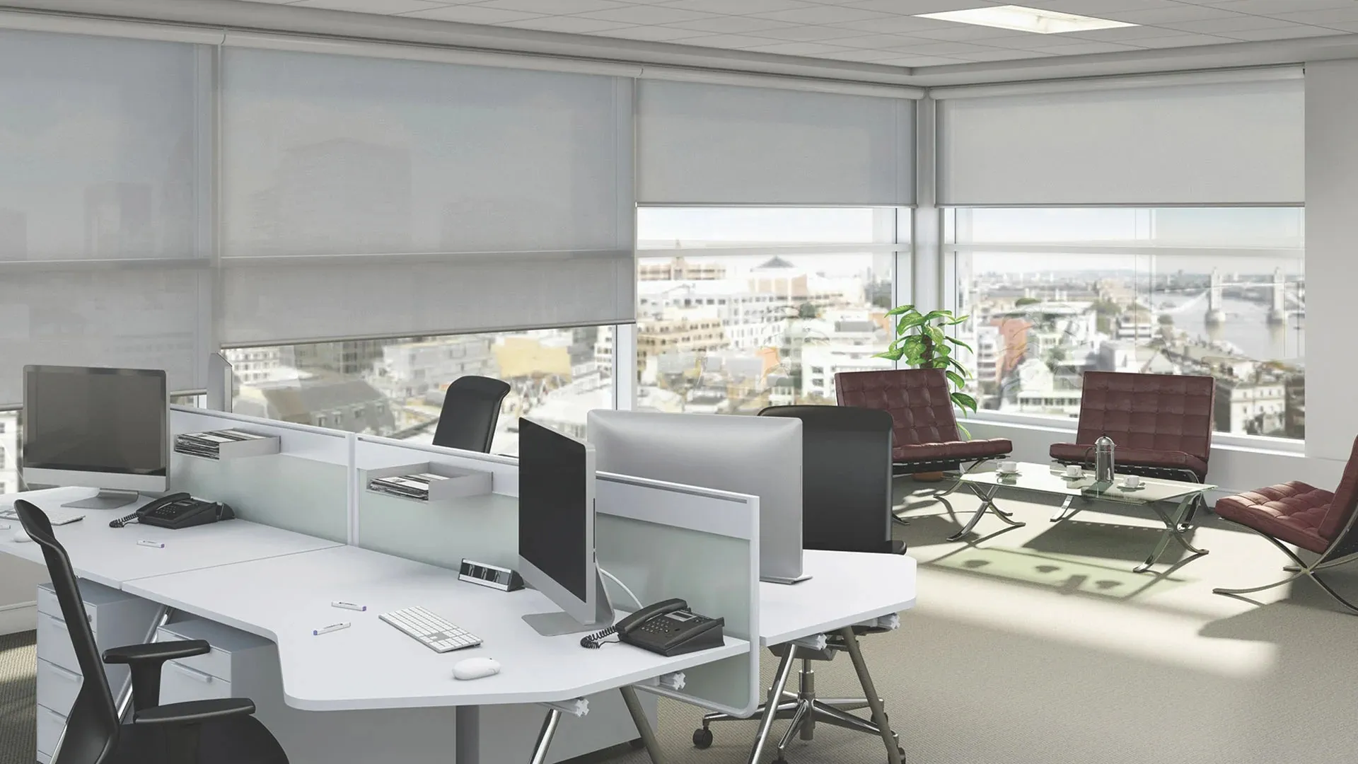 Contract & Commercial Blinds