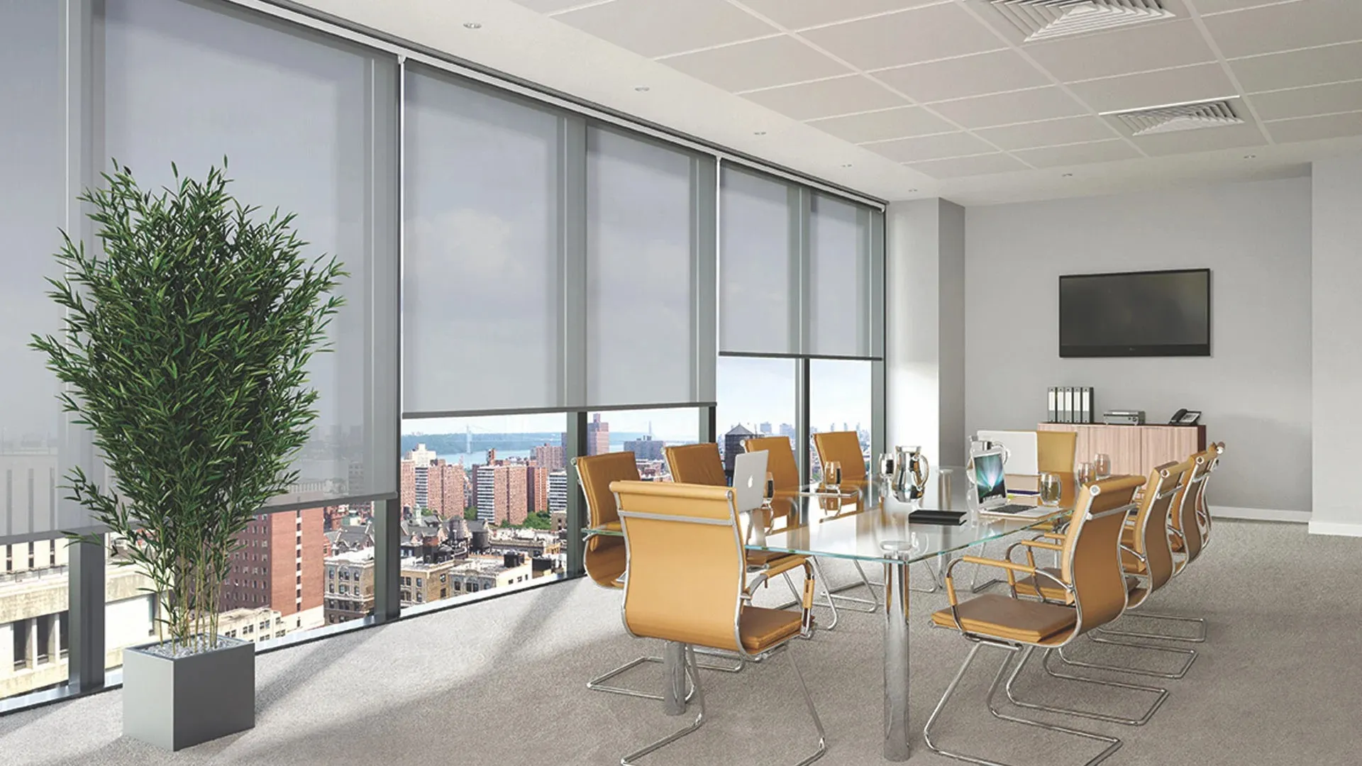 Contract & Commercial Blinds